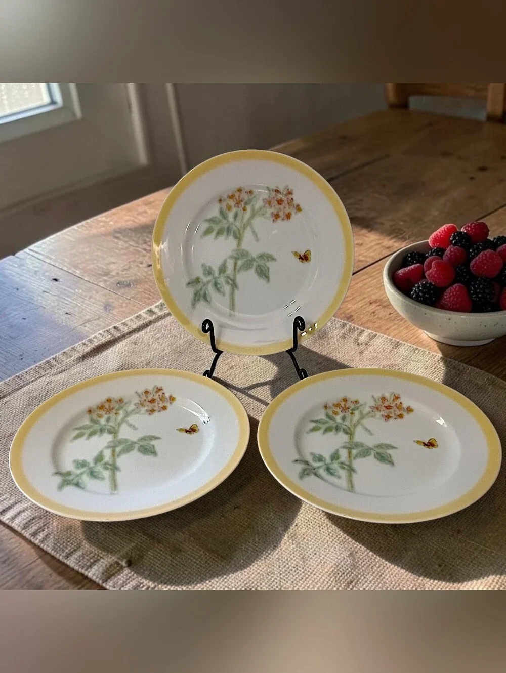 3 Williams Sonoma Flowering Herbs Salad Plates Yellow Band Wild Thyme Butterfly